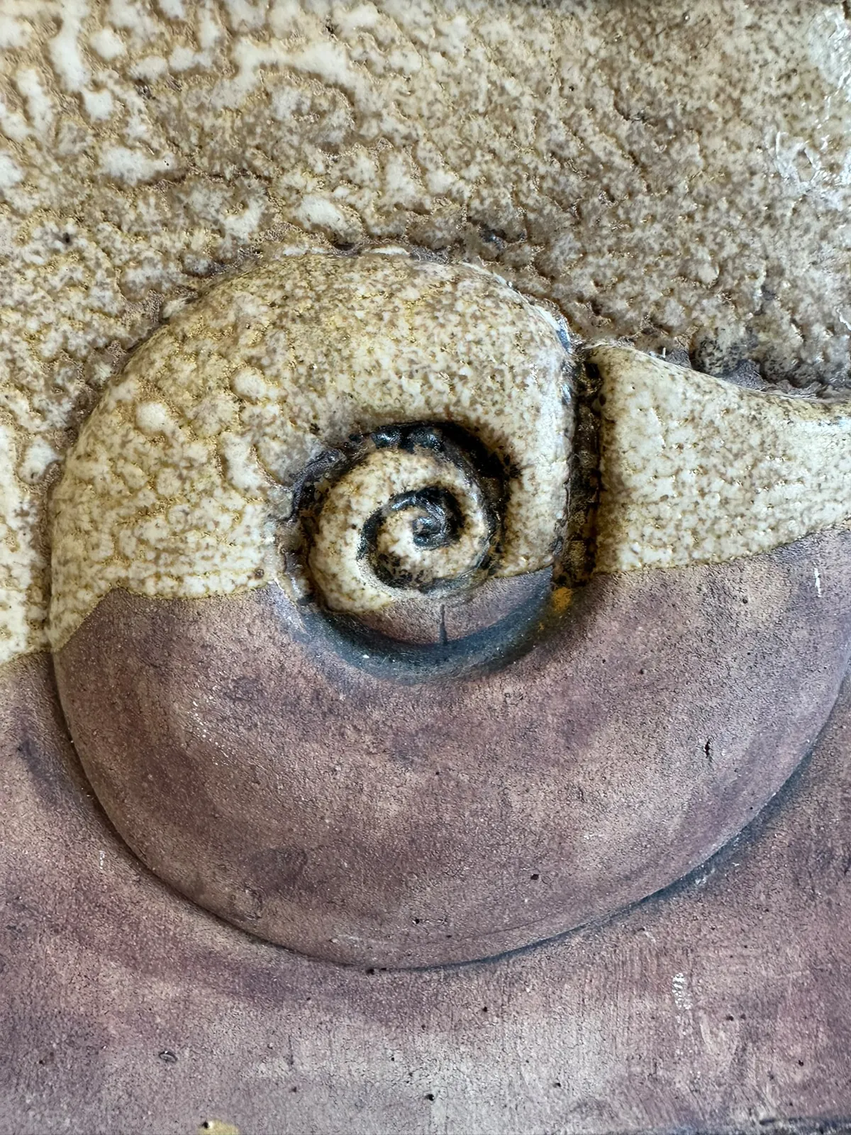 Close-up of a pale glazed ammonite spiral revealing the texture of the clay
